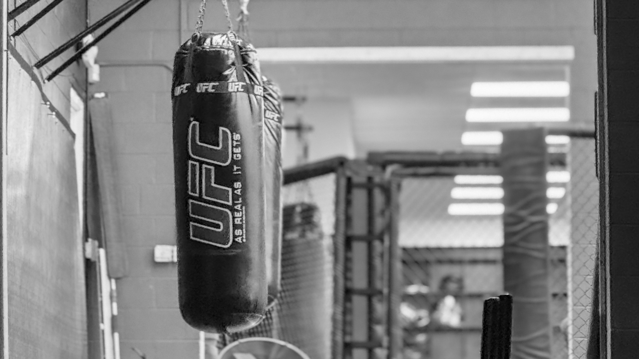 MMA sparring session